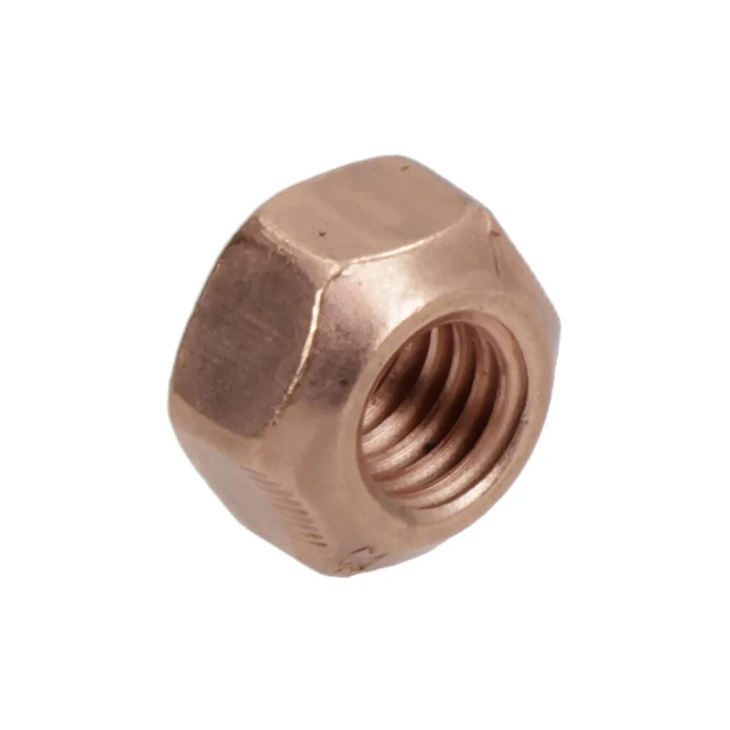 Piuliță de reținere F119200100060