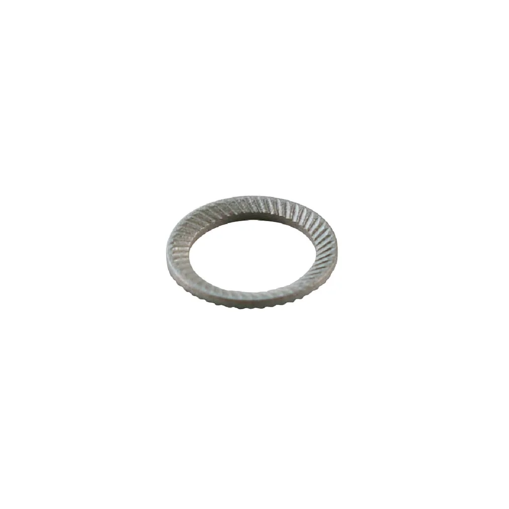 Inel Schnorr M10 zincat SCHNORR10