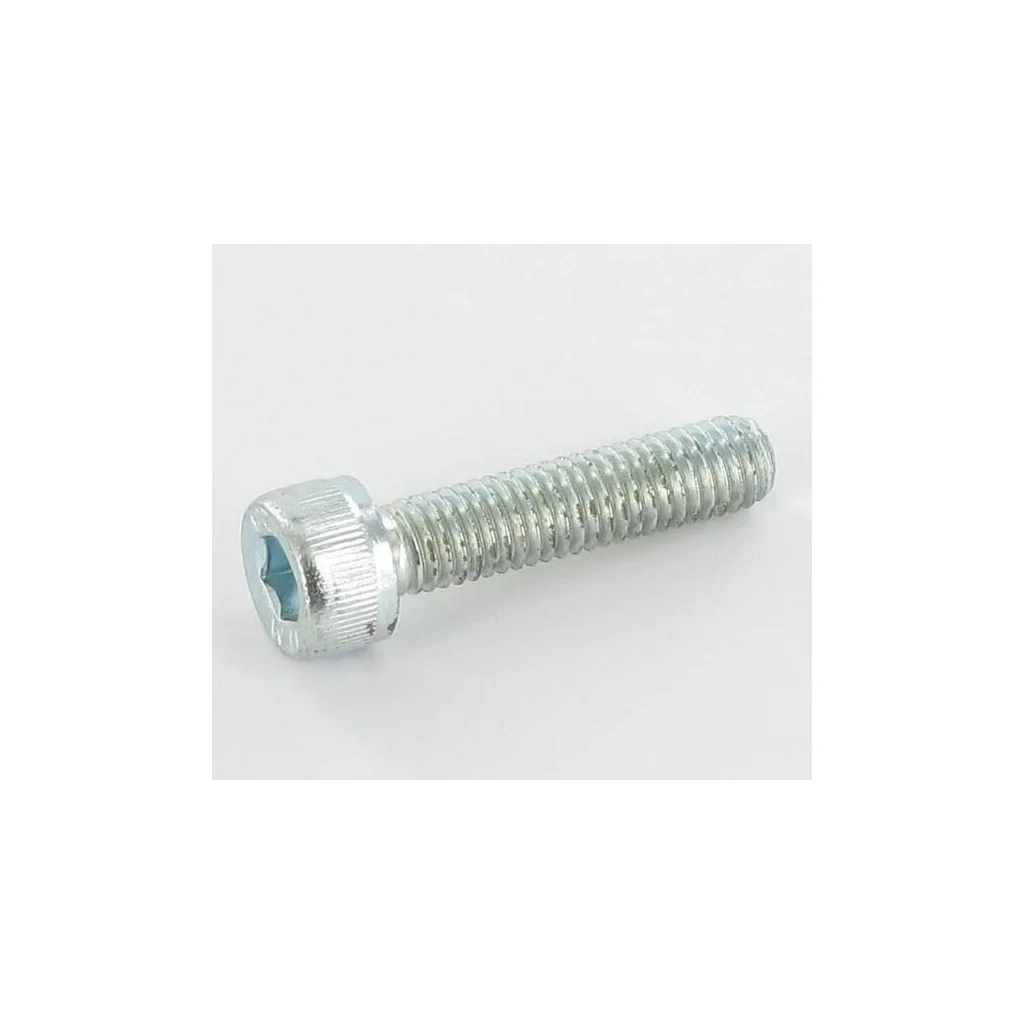 Şurub cu cap cilindric M5x22 SL0010604