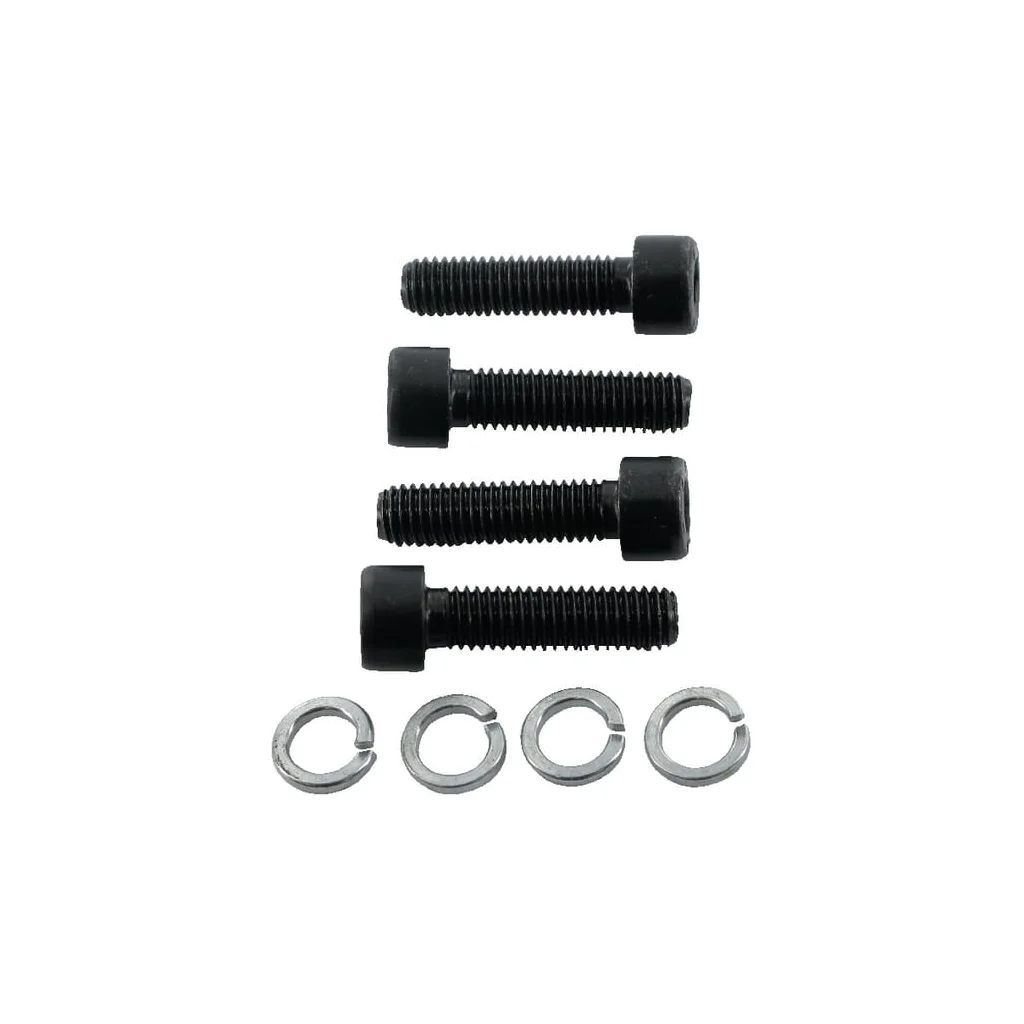 Set de 4 șuruburi M8x30 SV995040