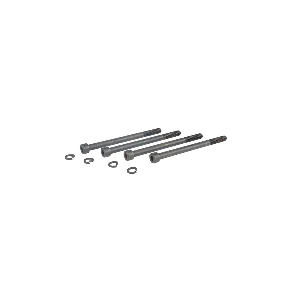 Set de 4 șuruburi M8x110 SV995025