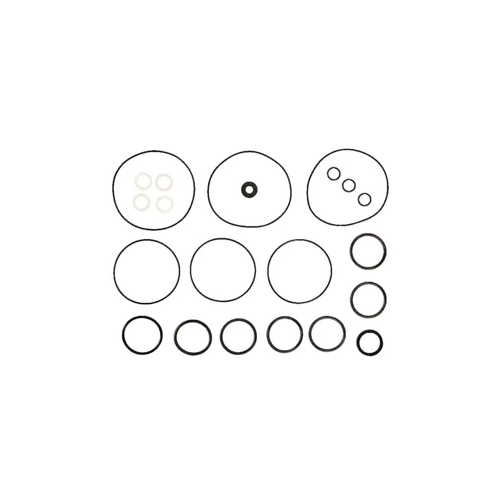 Set de garnituri SY115282