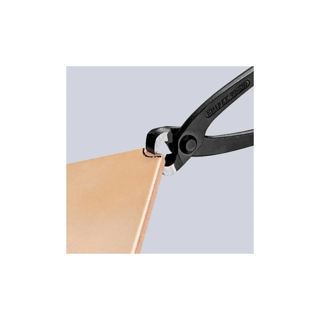 Clește pentru cuie 250mm SB TA9900250SB