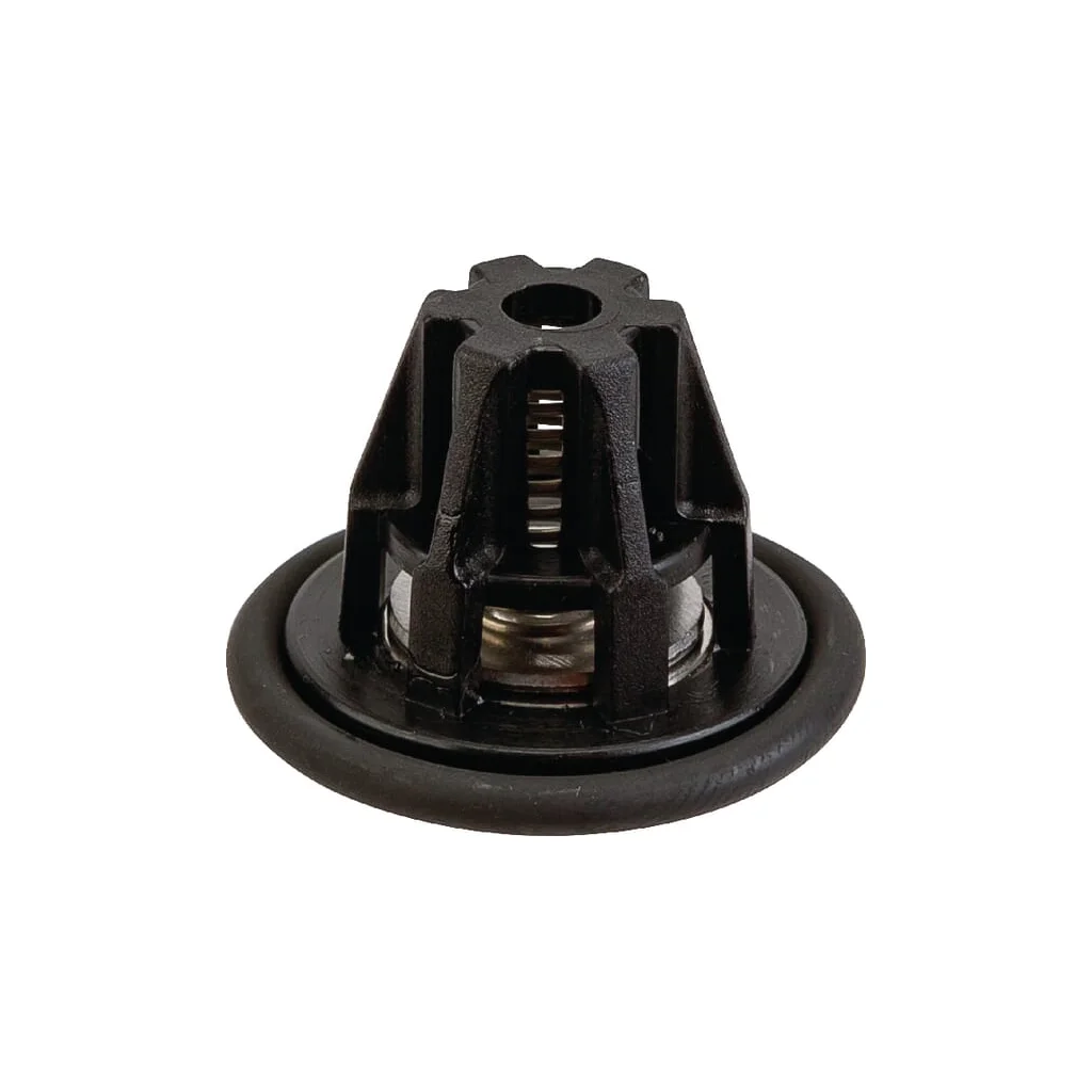 Set de supape UD600601