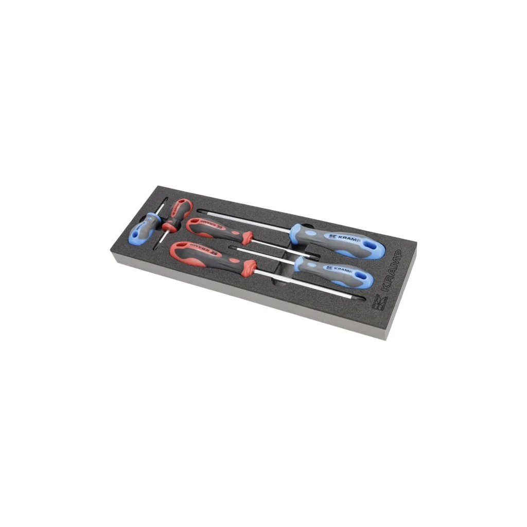 Modul spumă pentru set de șurubelnițe PH/PZ 6 buc. (set inclus) TT804001
