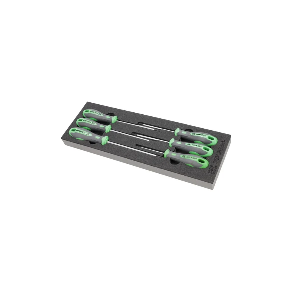Modul spumă pentru set șurubelniță Torx 6 buc. (set inclus) TT804002