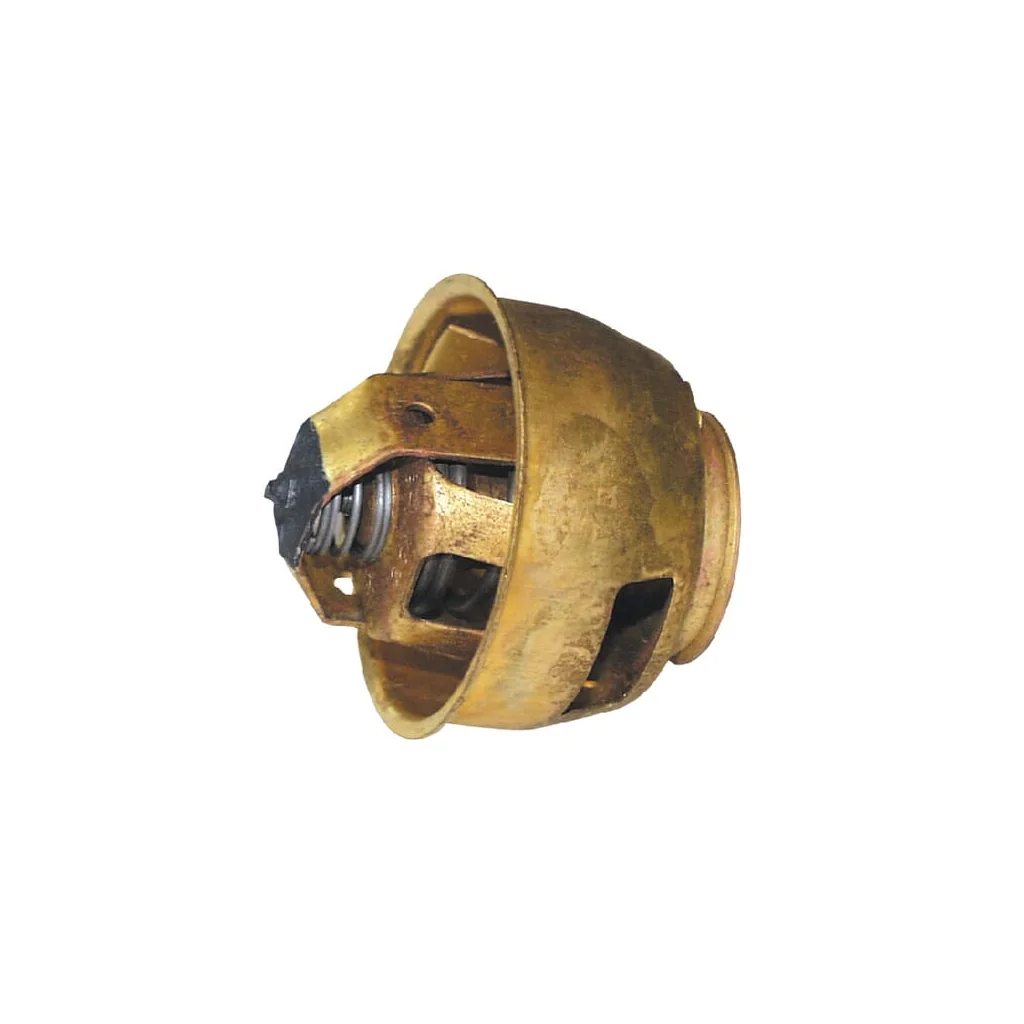 Termostat potrivit pentru Belarus TS109N