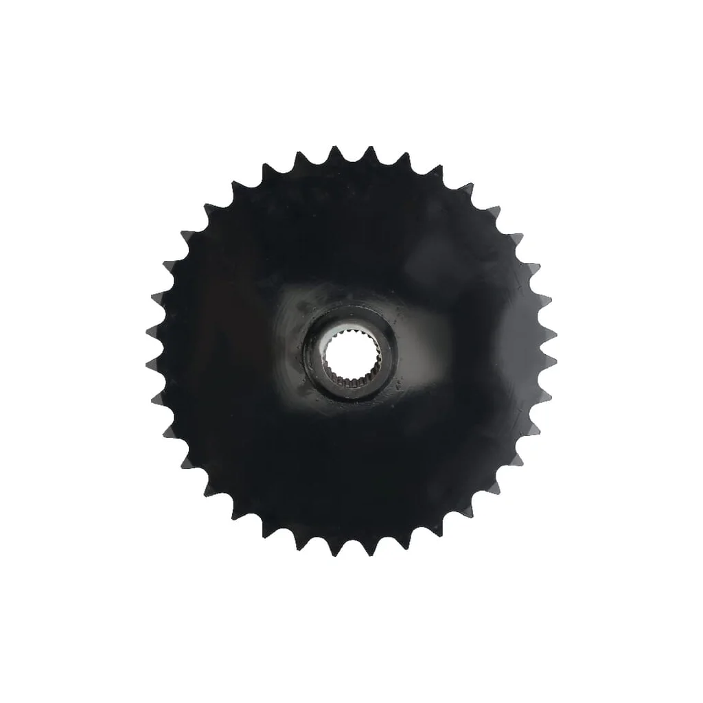 Pinion VF1665455486