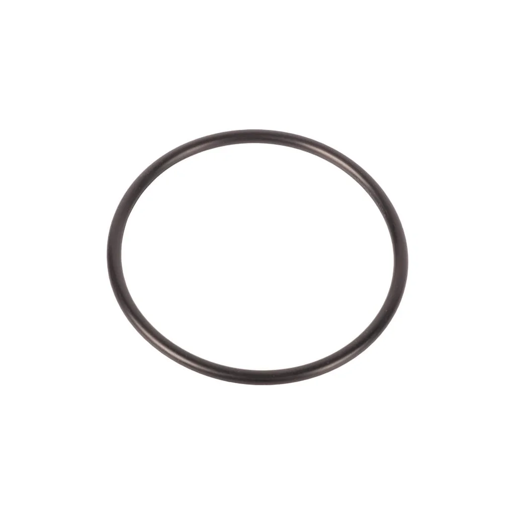 O-ring U12198