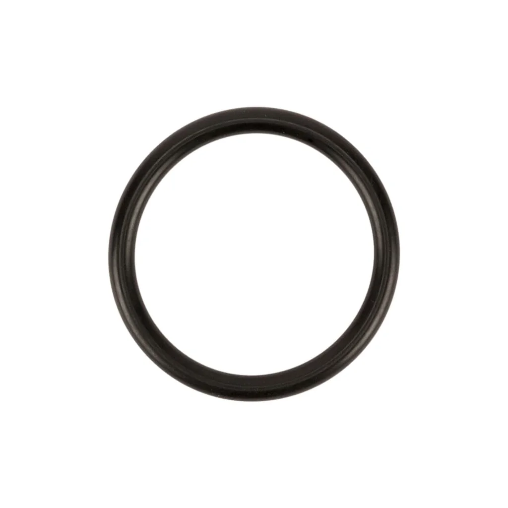 O-ring 31,34mm (rif.4125) UD110127