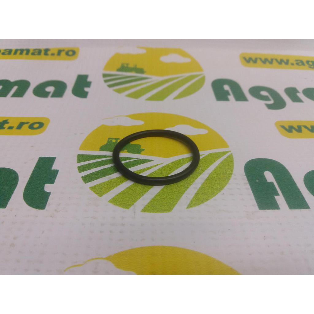 O-Ring Pompa Ulei Transmisie L34352