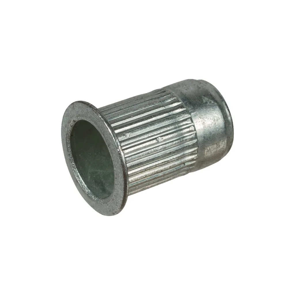 Piuliță înfundată VN30565807