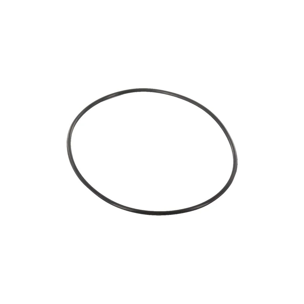 O-ring 101.3 x 2.6 Rau VN36107342
