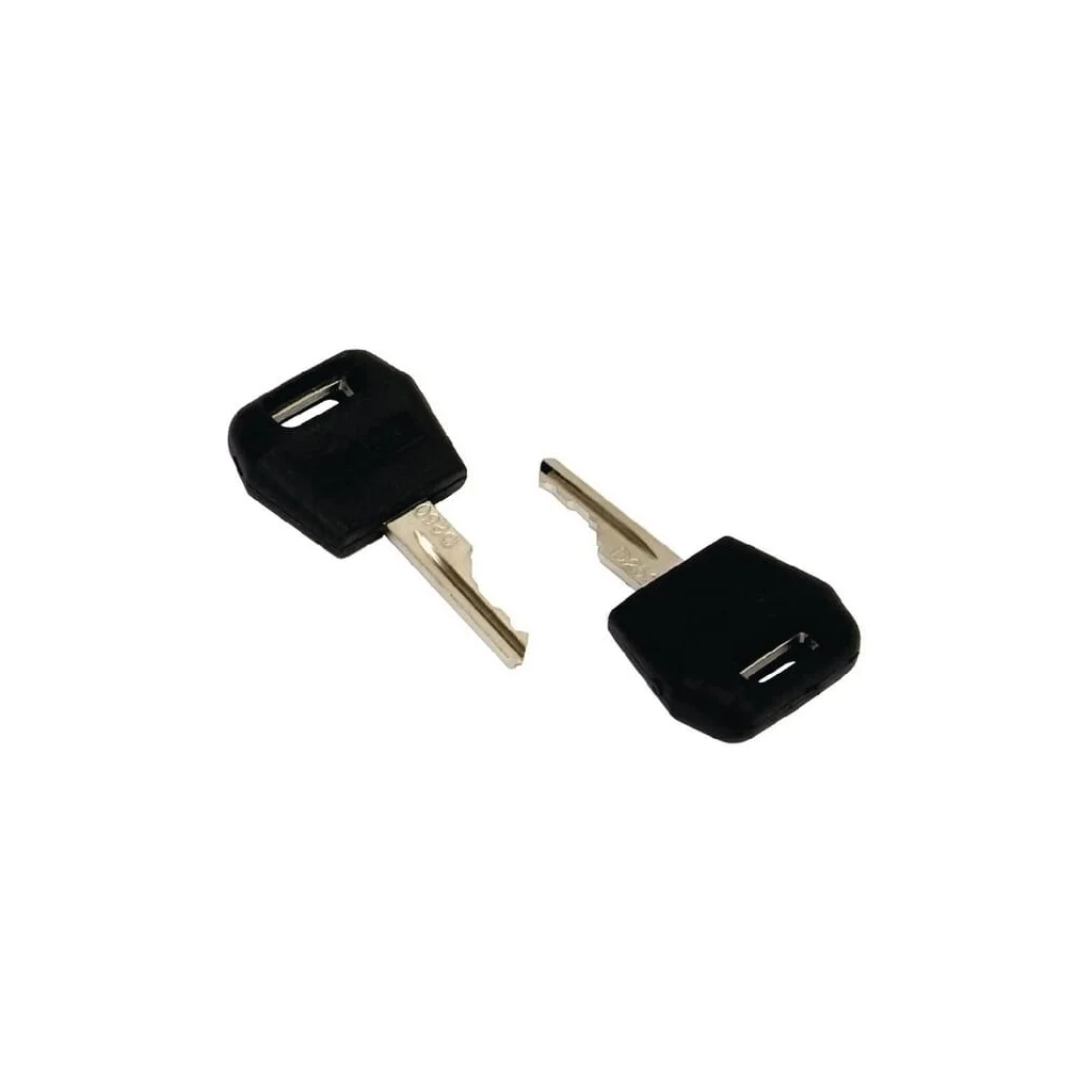 Cheie contact pornire Vapormatic (x2) VPF3258