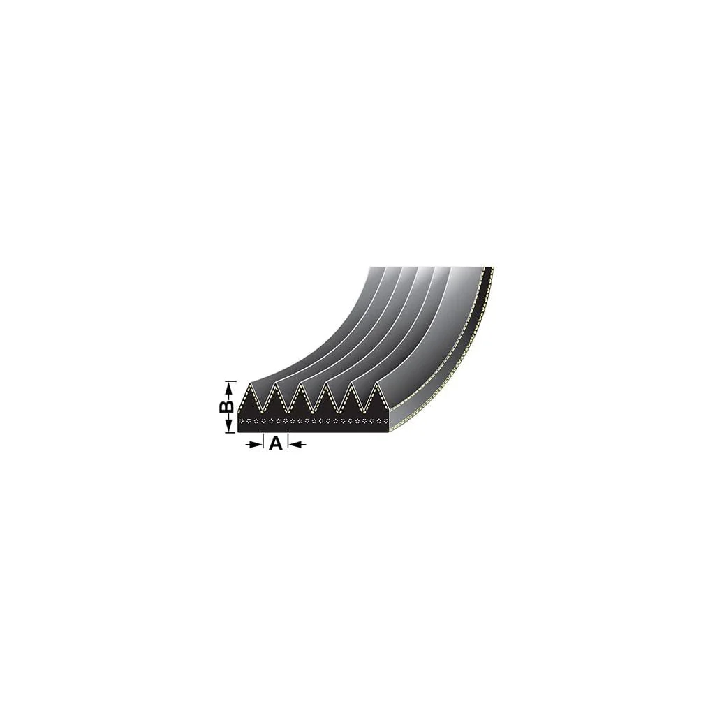 Curea ventilatorului VPE6441
