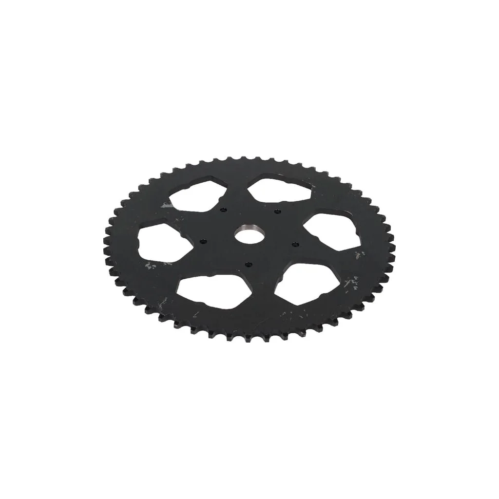 Pinion 55T VF1661631586