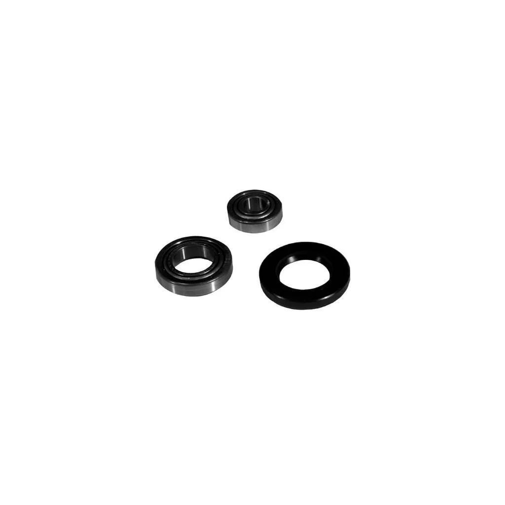 Set rulment roată VPJ2219