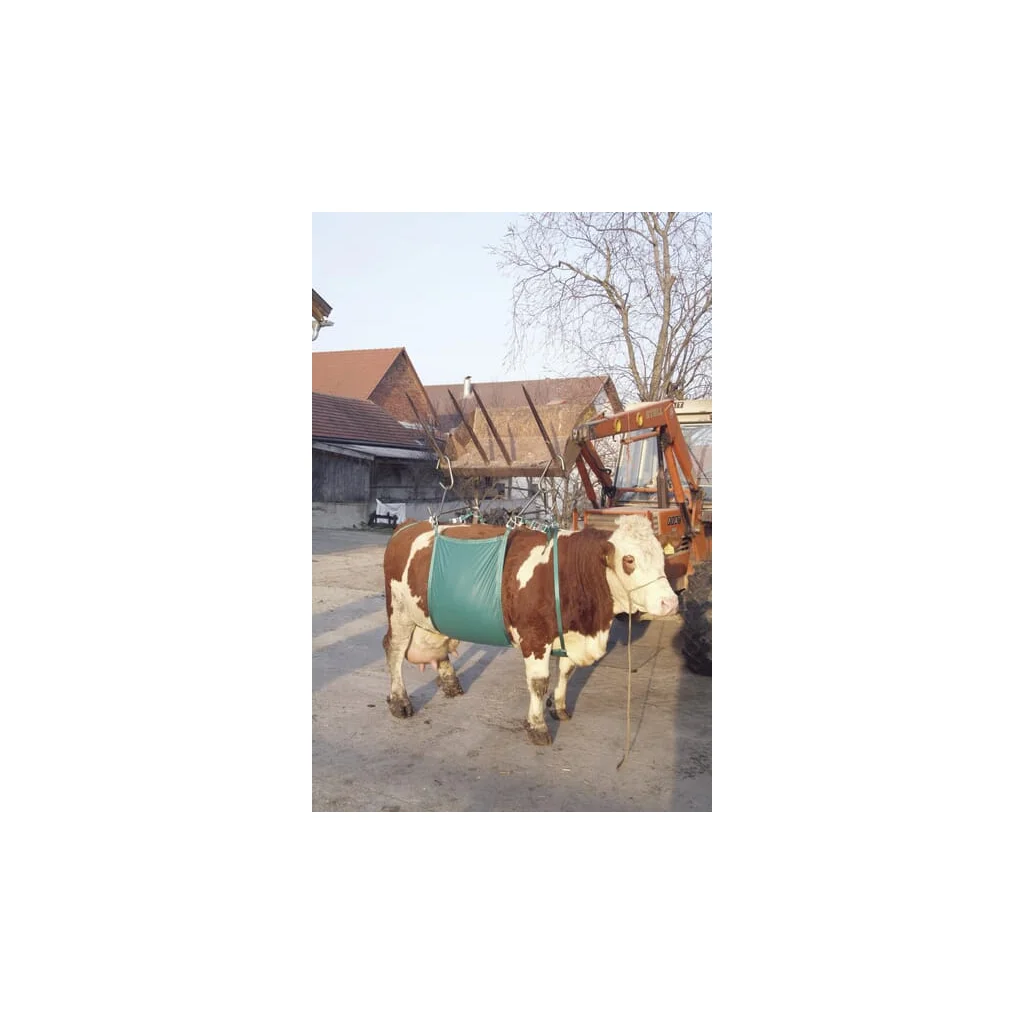 Dispozitiv ridicat bovine VV1049