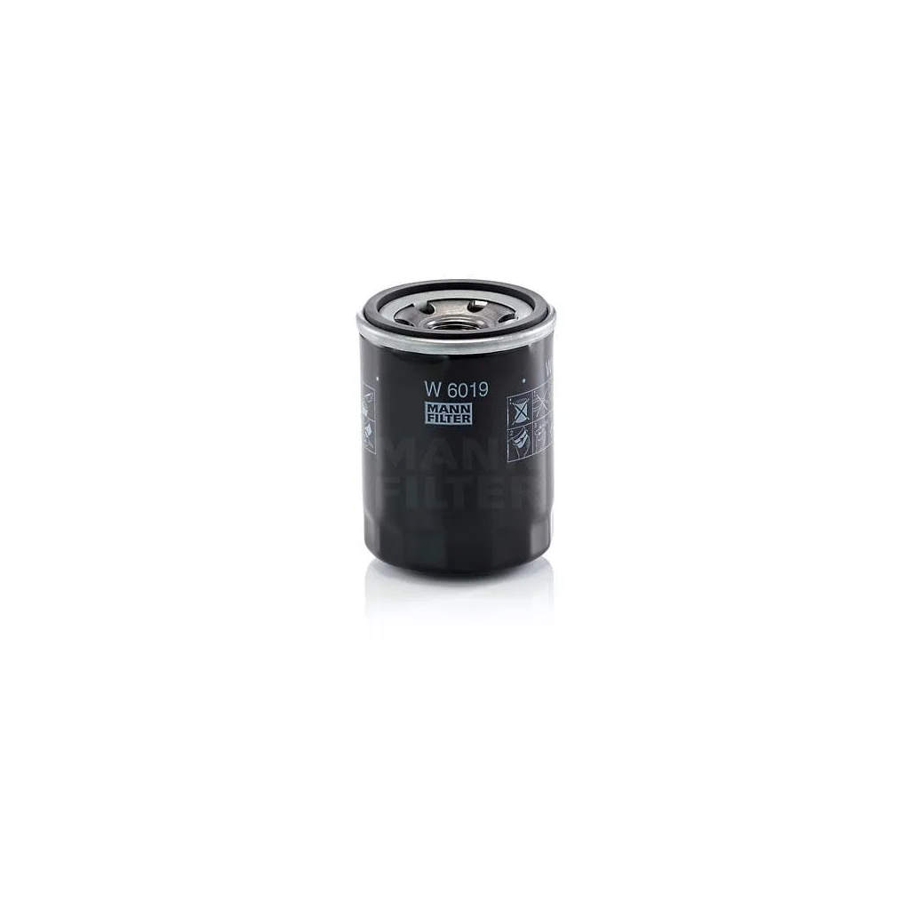 Filtru de ulei W6019