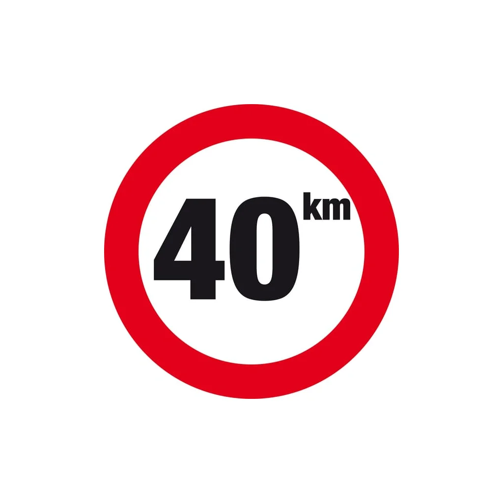 Indicator de viteză vehicul WB4000
