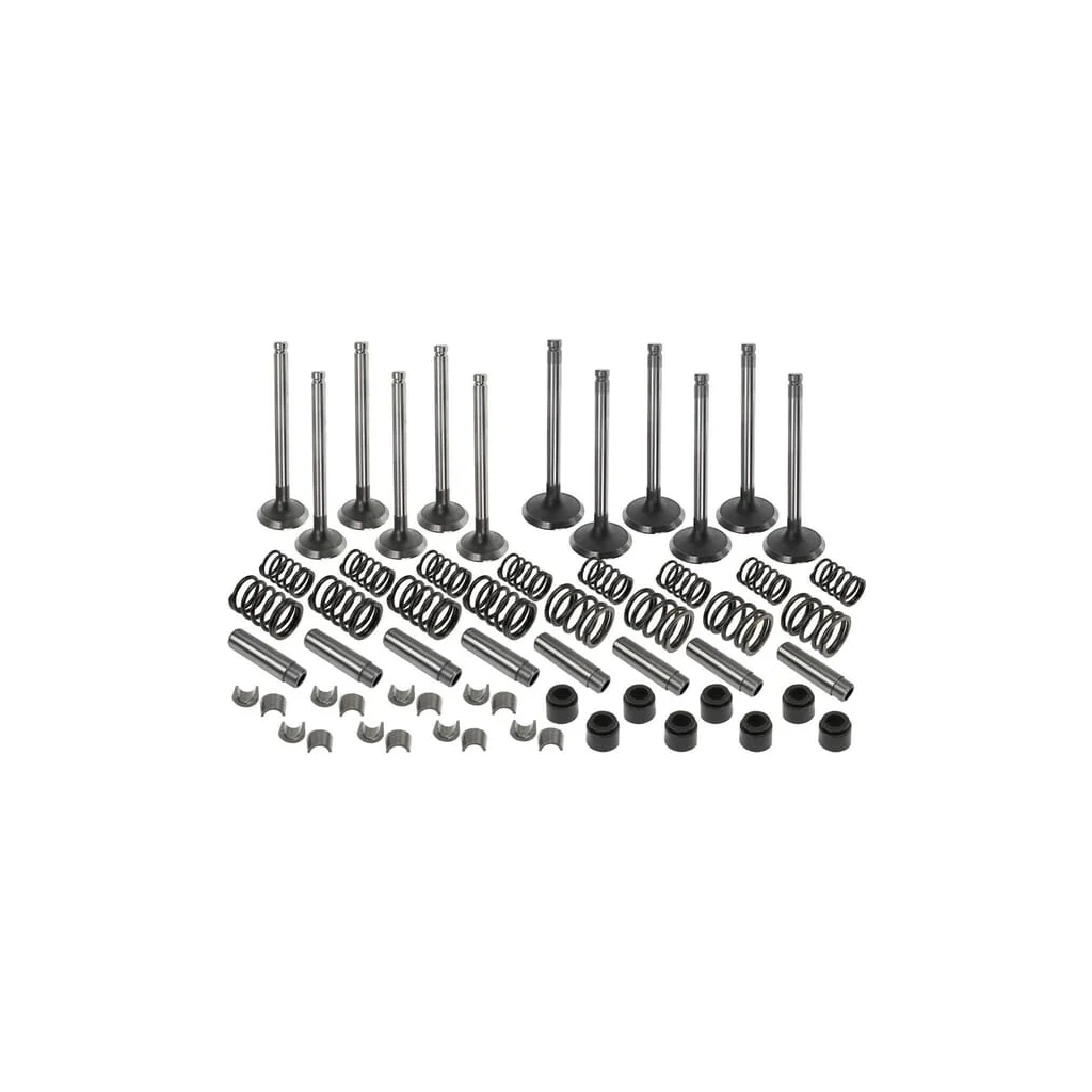 Set supapă VPA6000