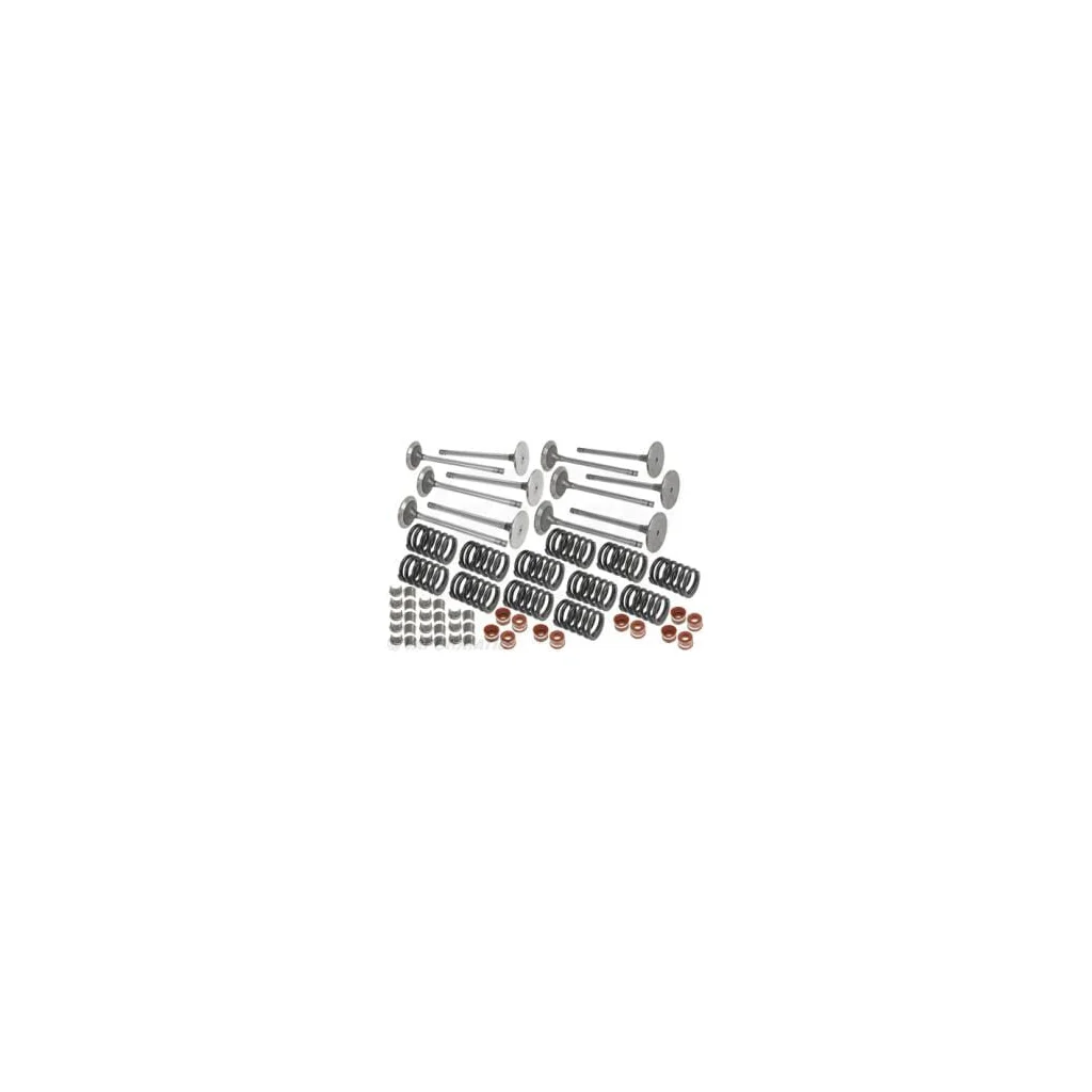 Set supapă VPA6020