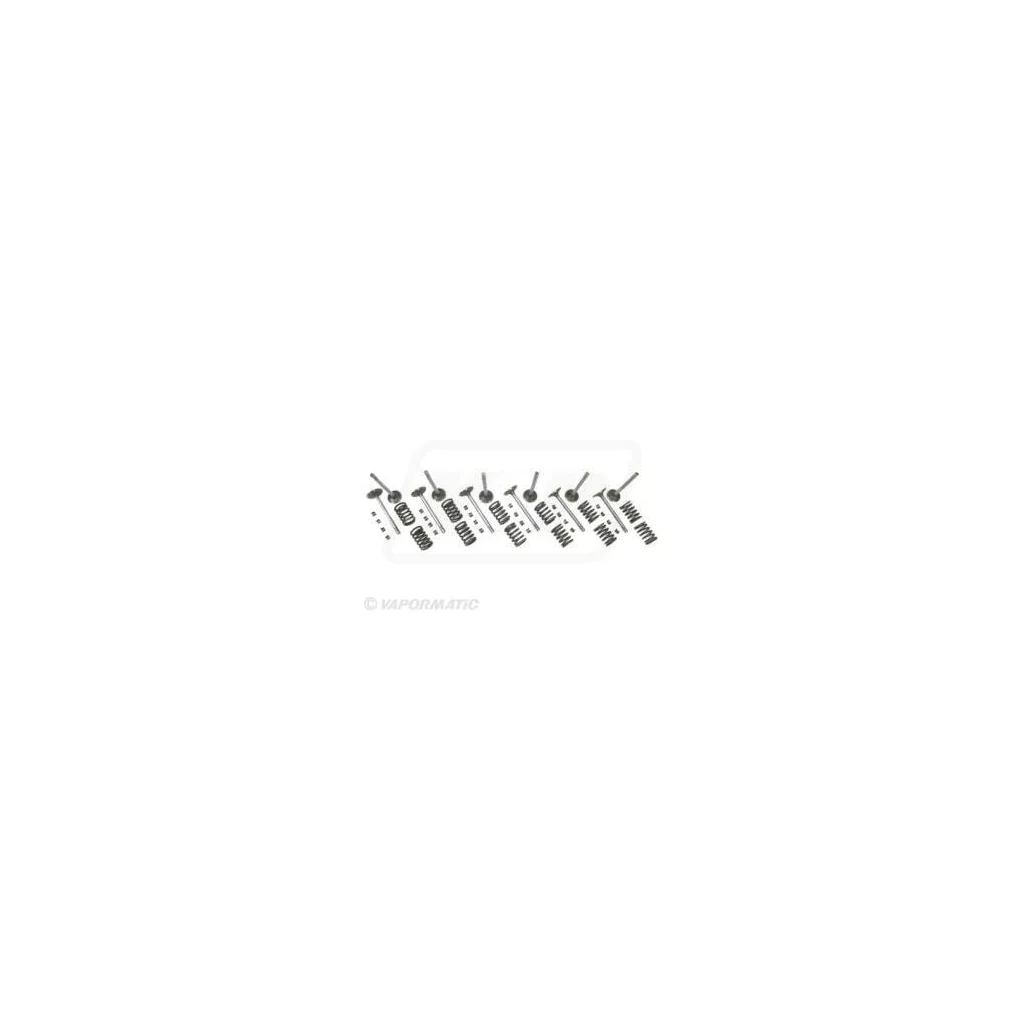 Set supapă VPA6055