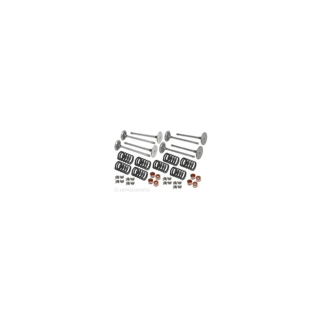 Set supapă VPA6019