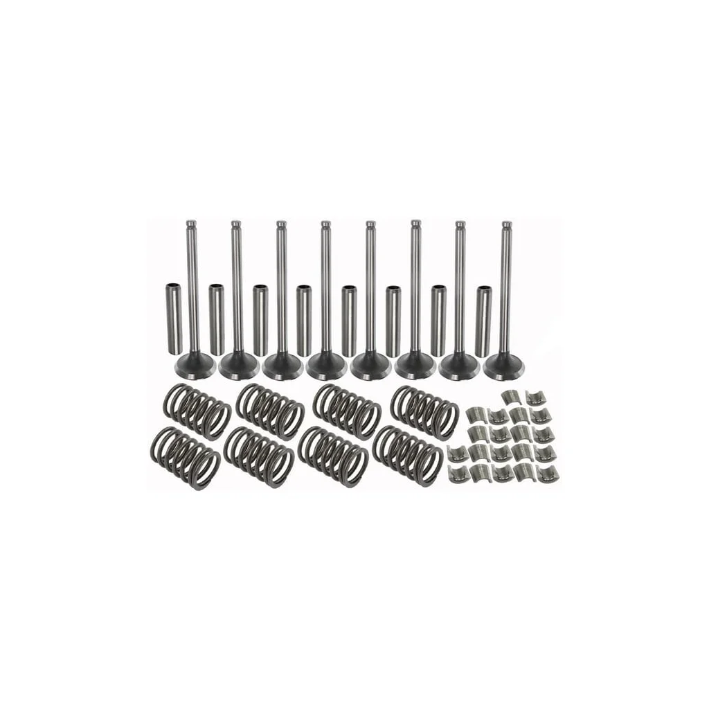 Set supapă VPA6013