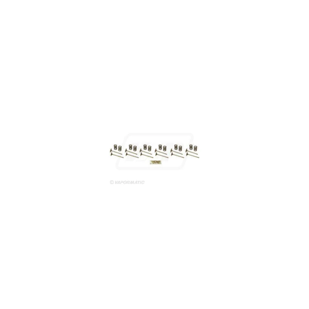Set supapă VPA6056