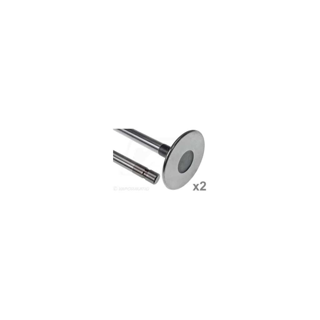 Supapă de evacuare Vapormatic (x2) VPA1021
