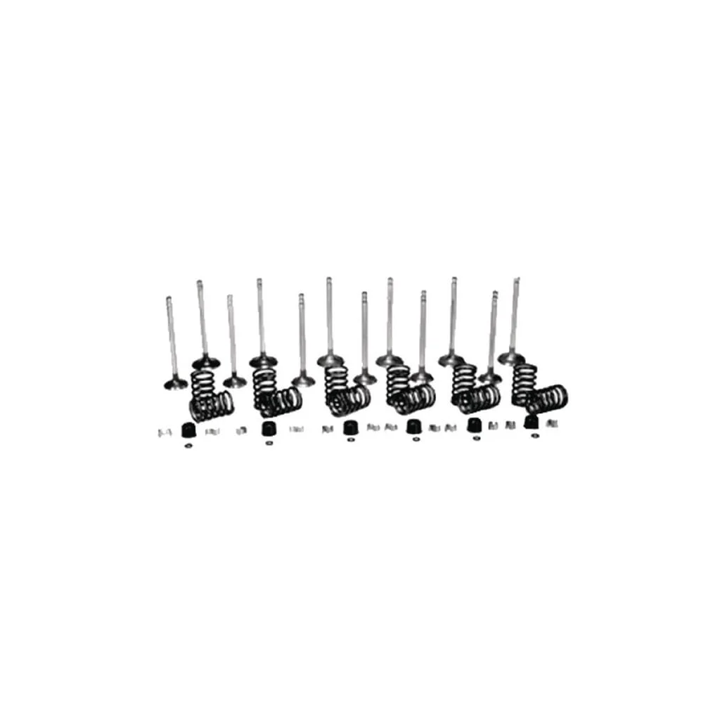 Set supapă VPA6027