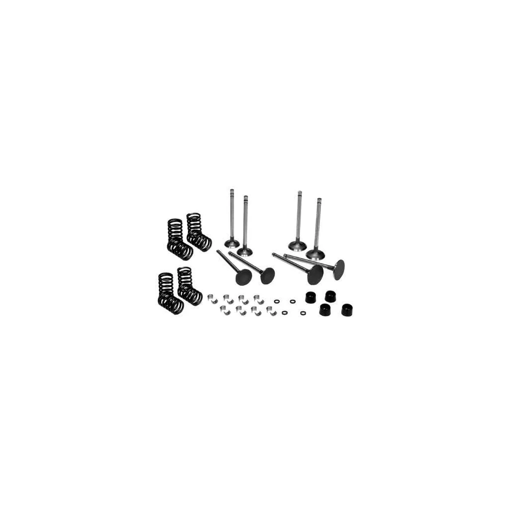 Set supapă VPA6025