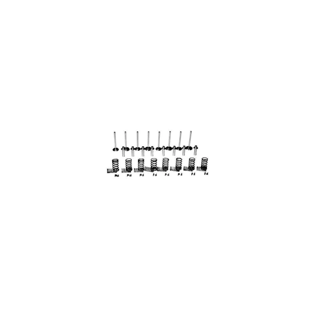 Set supapă VPA6007