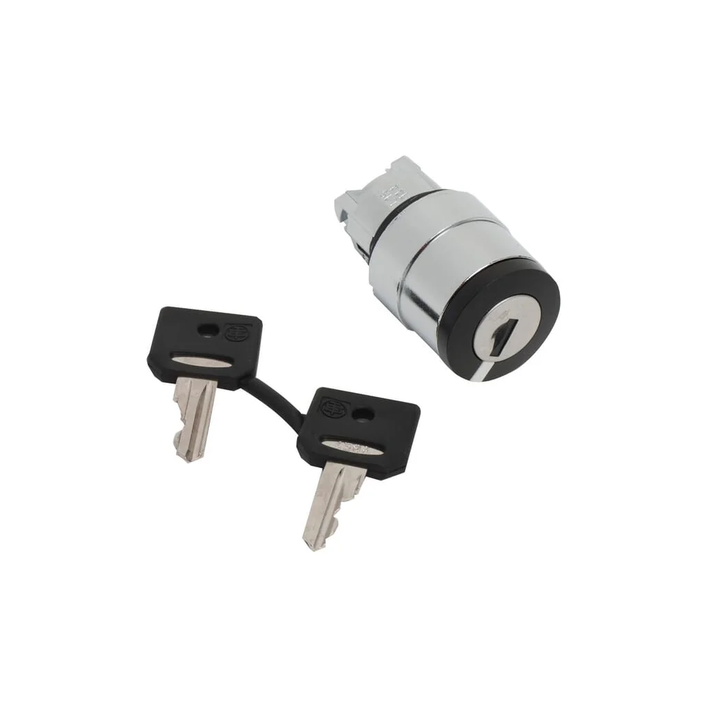 Capac comutator cu cheie, cheie 458A ZB4BG410
