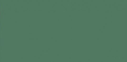 Vopsea verde MAN 1l