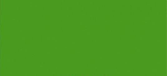 Vopsea verde Merlo 1l