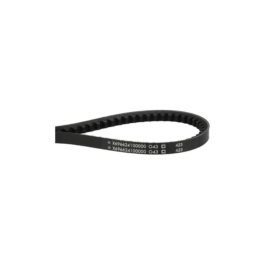 Curea trapezoidală X696624100000