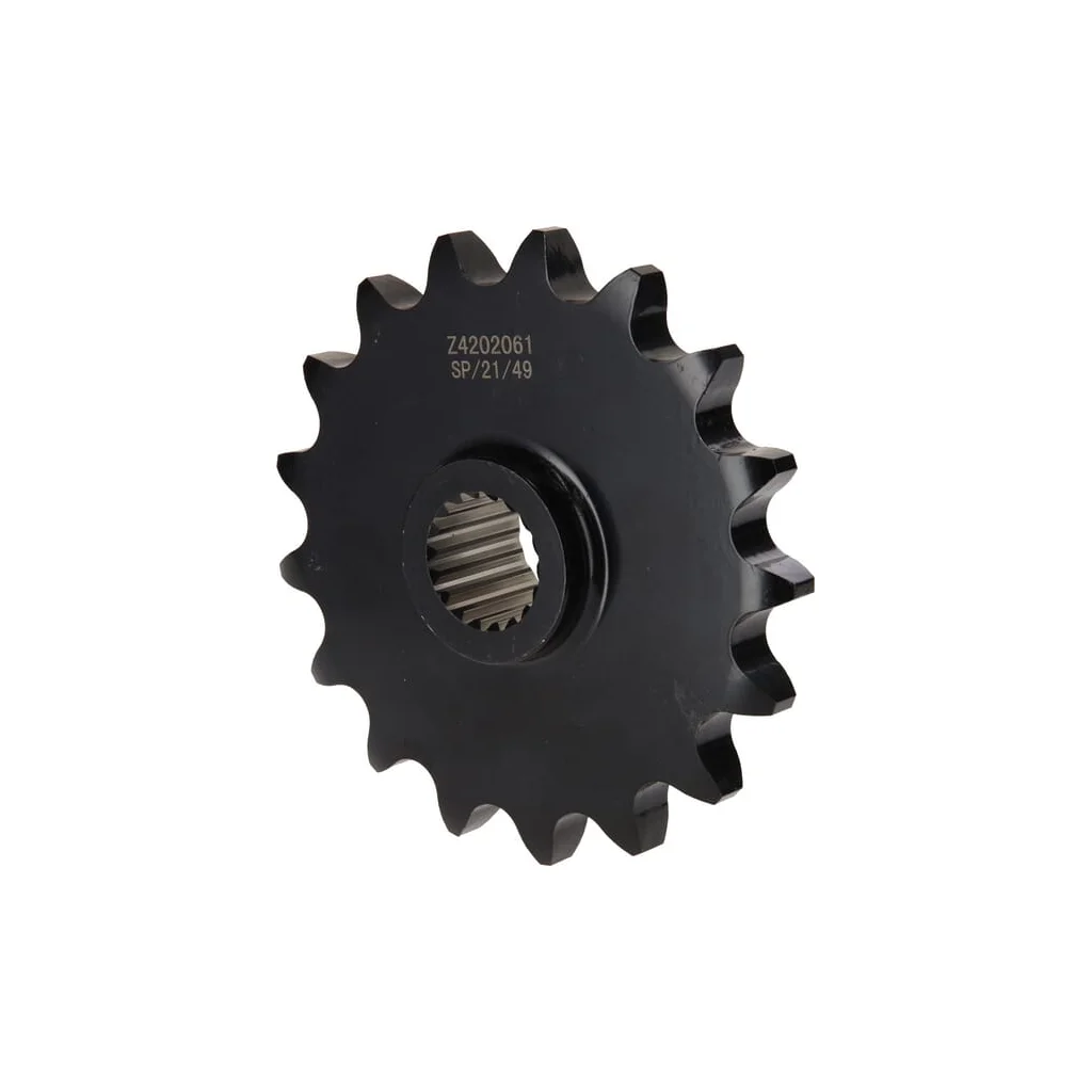 Pinion Z4202061