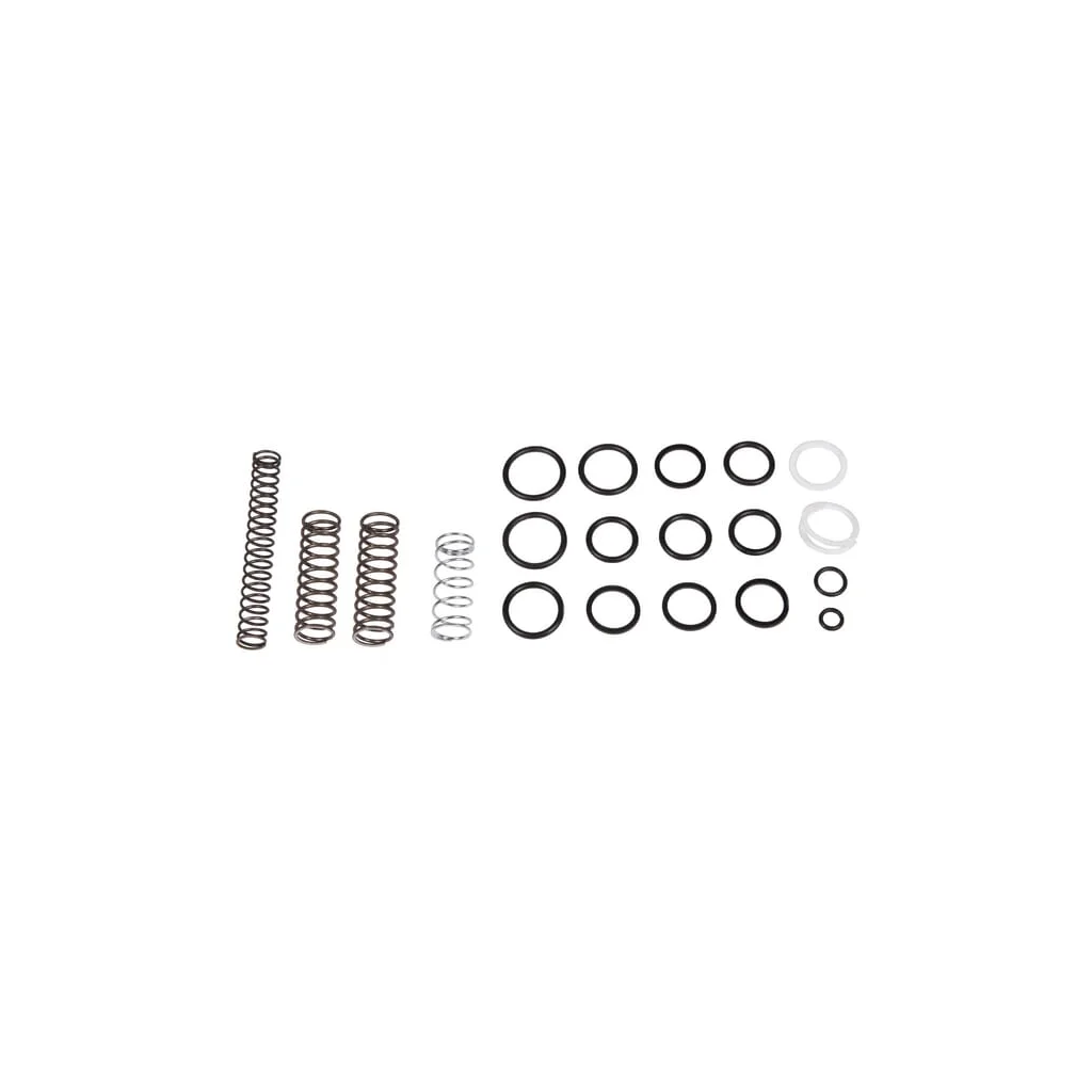 Set de recondiționare X137N