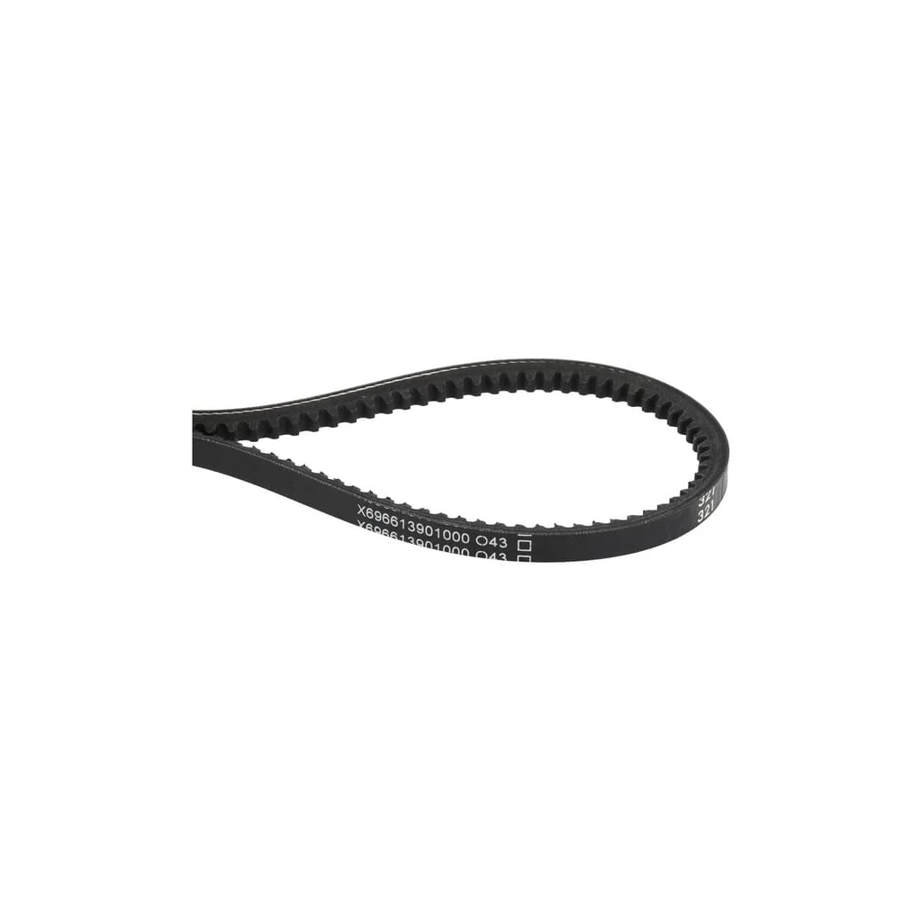 Curea trapezoidală X696613901000