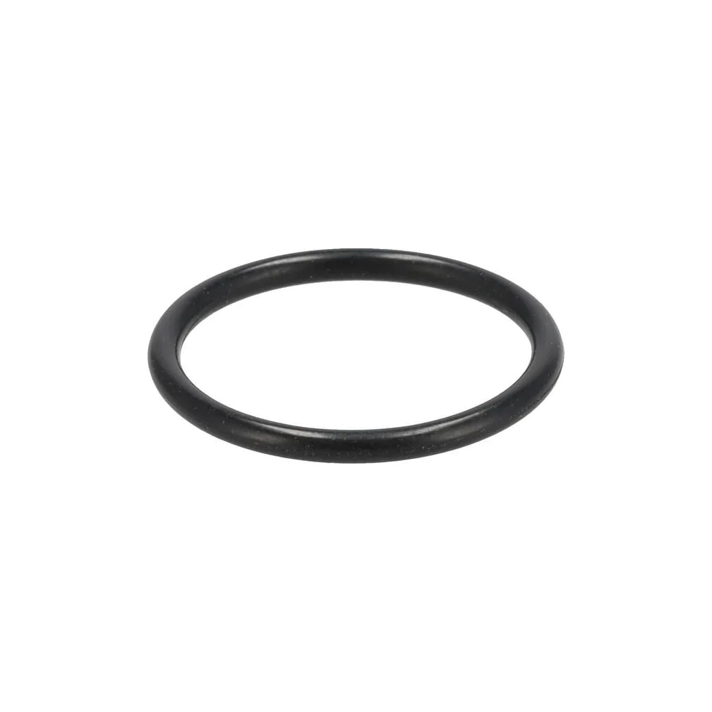 O-ring X548864900000
