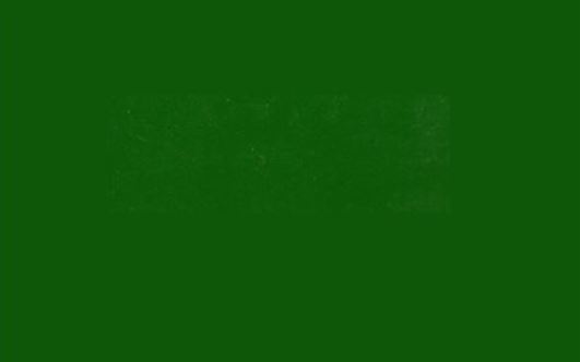 Vopsea verde Deutz-Fahr -1974 1l