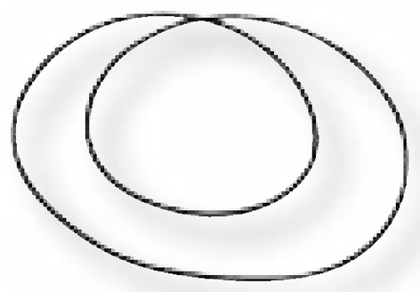 DANA Spicer O-Ring - Butuc