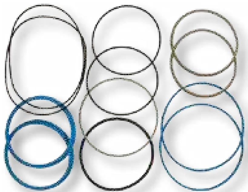 DANA Spicer Set garnituri