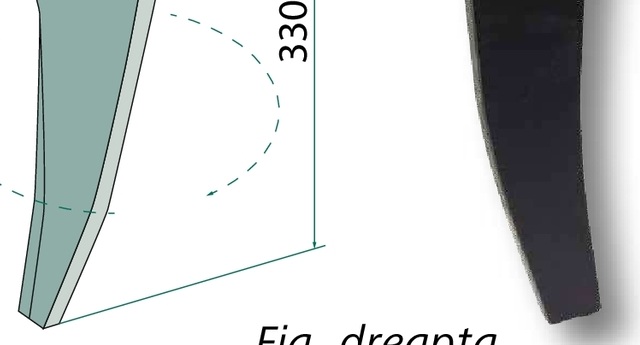 Dinte grapa rotativa - stanga, suport lung