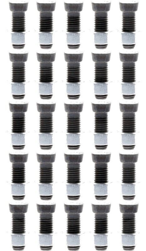 Șuruburi plug, 25 buc., M12x1,75 - 12.9 - cu pliuliță