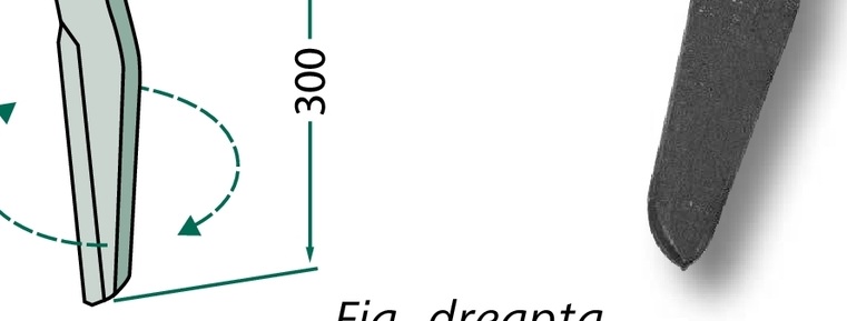 Dinte pentru grapa rotativa - stânga