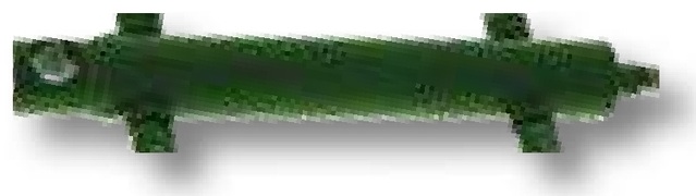Amazone Cilindru hidraulic - D30, dublu efect