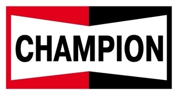 BOSCH Pachet de 10 bujii - WSR6F; Piulița de racordare SAE